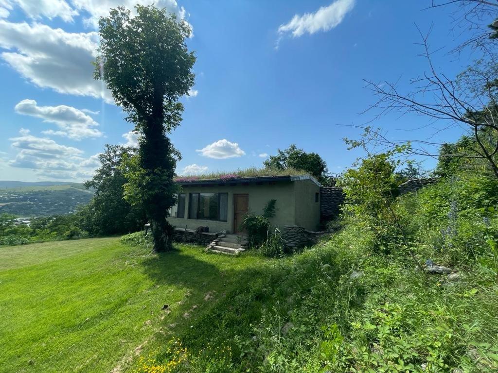 Cozy Cottage In Countryside Close To Tbilisi Dushet'i 外观 照片